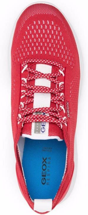 Geox Spherica gebreide sneakers Rood