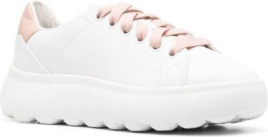 Geox Spherica leren sneakers Wit