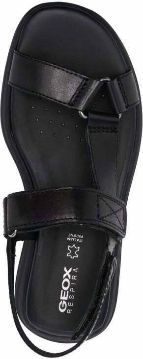 Geox Spherica sandalen Zwart