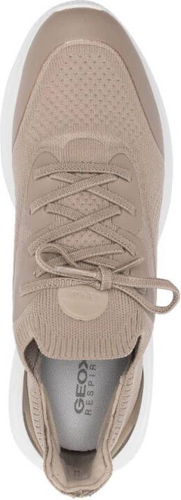 Geox Spherica Sport sneakers Beige