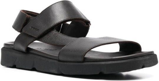 Geox Xand 2S leren sandalen Bruin
