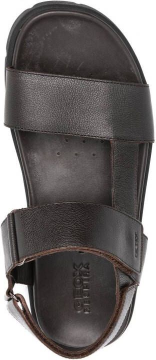 Geox Xand 2S leren sandalen Bruin