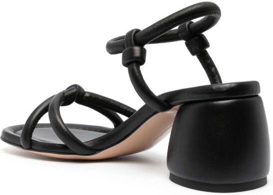 Gianvito Rossi Sandalen met geknoopt bandjes Zwart