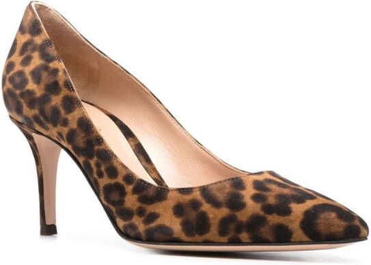 Gianvito Rossi Pumps met luipaardprint Bruin