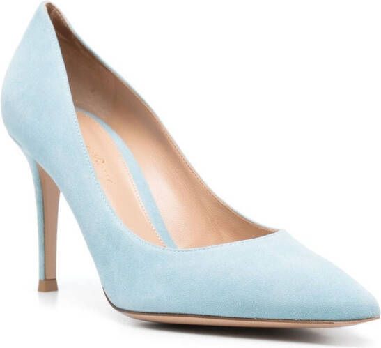 Gianvito Rossi Pumps met puntige neus Blauw