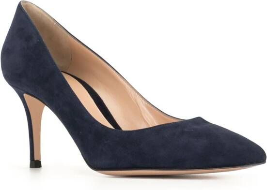 Gianvito Rossi Pumps met puntige neus Blauw