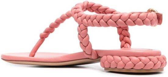 Gianvito Rossi Sandalen met gevlochten bandje Roze