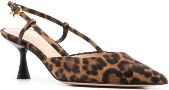 Gianvito Rossi Slingback pumps met luipaardprint Bruin