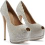 Giuseppe Zanotti Sharon pumps verfraaid met stras Grijs - Thumbnail 2