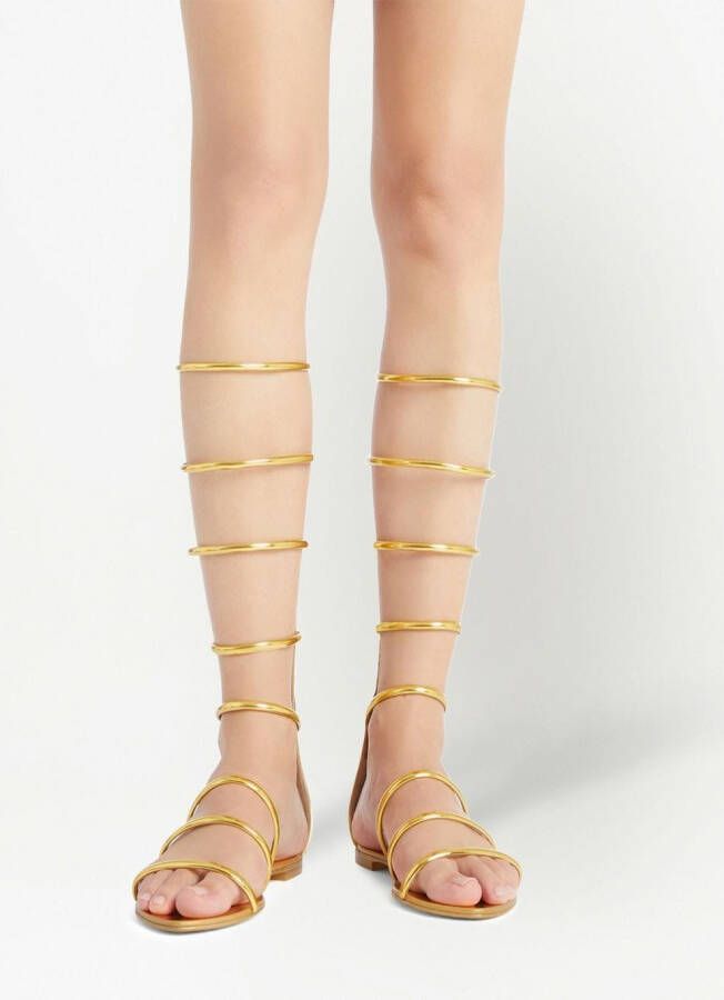 Giuseppe Zanotti Super Intrigo gladiator sandalen Goud