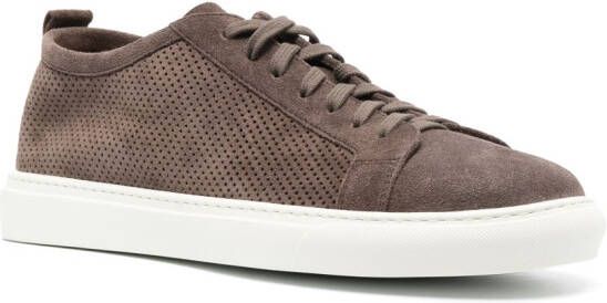 Henderson Baracco Ronny suède sneakers Bruin