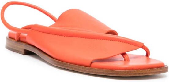 Hereu Clava leren sandalen Oranje
