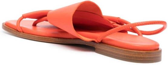 Hereu Clava leren sandalen Oranje