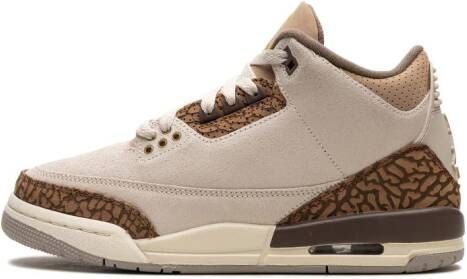 Jordan Kids "Air Jordan 3 PS Palomino sneakers" Bruin