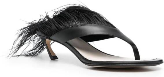 Lanvin Feather Swing 65 leren sandalen Zwart