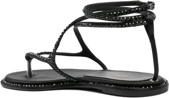 Le Silla Belen sandalen verfraaid met kristal Zwart