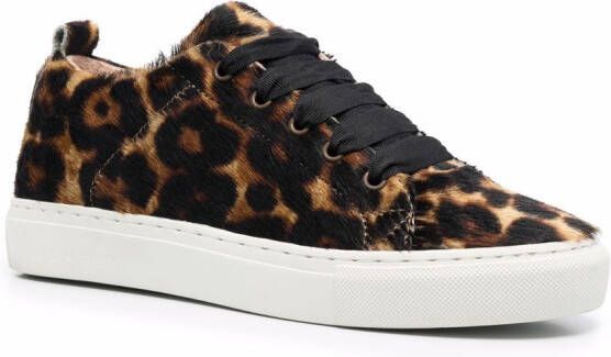 Manebi Sneakers met luipaardprint Bruin