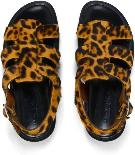 Marni Gladiator sandalen met luipaardprint Bruin