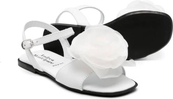 MONTELPARE TRADITION Leren sandalen Wit