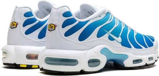 Nike Air Max Plus "Blue Gaze" sneakers Blauw