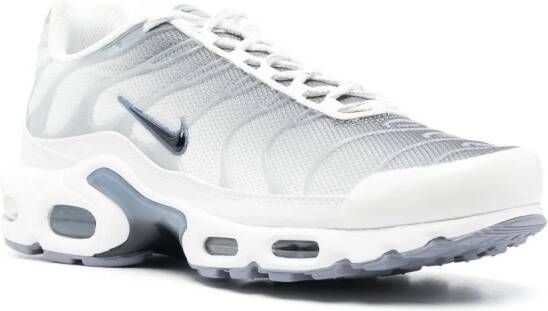 Nike Air Max Plus sneakers Grijs