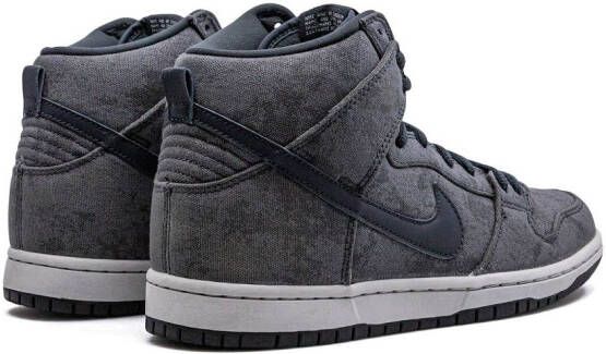 Nike Dunk High Pro SB sneakers Grijs