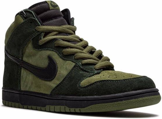 Nike Dunk High Pro SB sneakers Groen