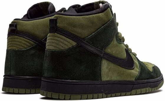 Nike Dunk High Pro SB sneakers Groen