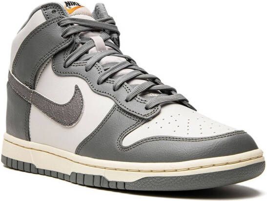 Nike Dunk High sneakers Grijs