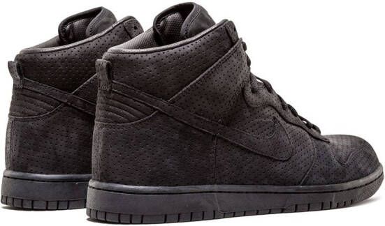 Nike Dunk Prem '08 TZ sneakers Bruin