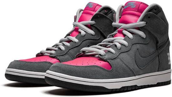 Nike Dunk Premium SB sneakers Grijs