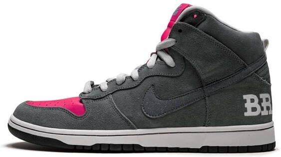 Nike Dunk Premium SB sneakers Grijs