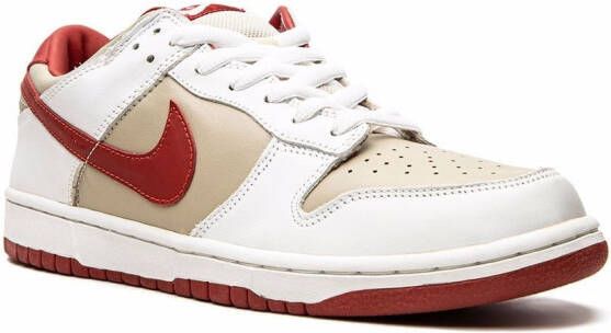 Nike Dunk Pro low-top sneakers Grijs