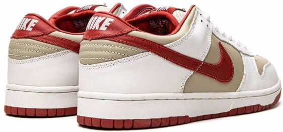 Nike Dunk Pro low-top sneakers Grijs