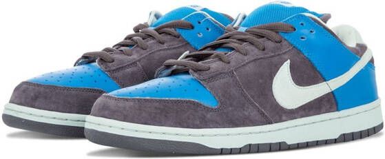 Nike Dunk Pro SB low-top sneakers Grijs