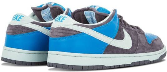 Nike Dunk Pro SB low-top sneakers Grijs