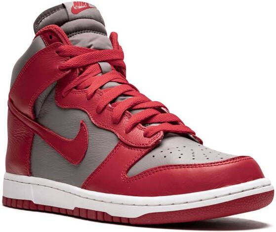 Nike Dunk Retro QS sneakers Grijs