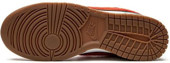 Nike Dunk Retro University sneakers Oranje