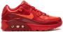 Nike Kids "Air Max 90 City Special Chicago sneakers" Rood - Thumbnail 2