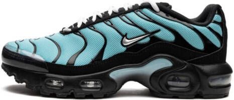 Nike Kids Air Max Plus sneakers Blauw