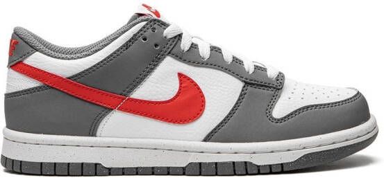 Nike Kids Dunk Low 'NN' sneakers Grijs