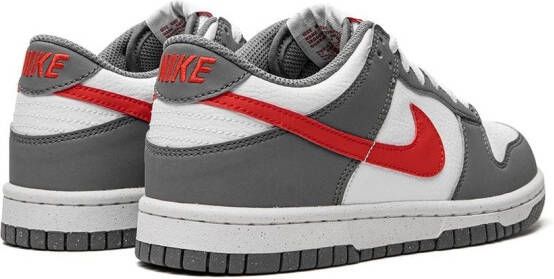 Nike Kids Dunk Low 'NN' sneakers Grijs