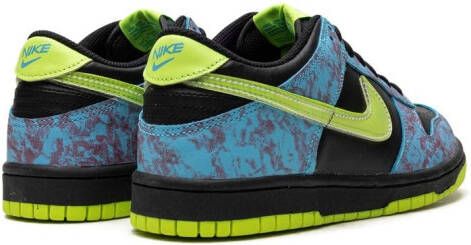 Nike Kids Dunk Low SE sneakers Zwart