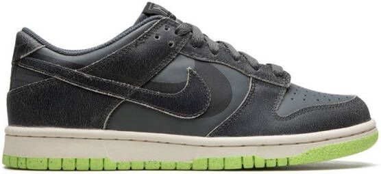 Nike Kids Dunk Low SE sneakers Grijs