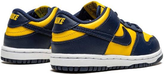 Nike Kids Dunk Low sneakers Blauw