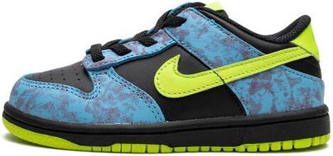 Nike Kids Dunk Low sneakers Blauw