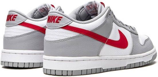 Nike Kids Dunk Low sneakers Grijs