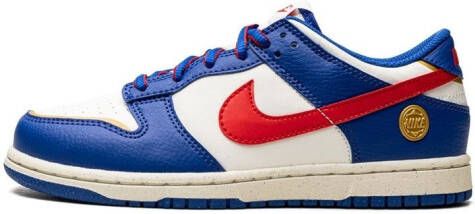 Nike Kids "Dunk Low Superhero sneakers " Blauw