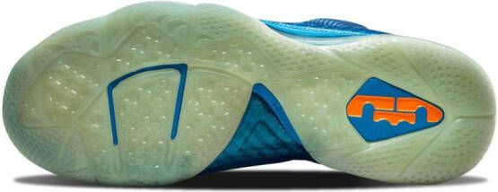 Nike Lebron 9 sneakers Blauw