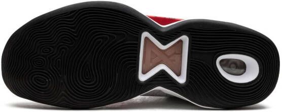 Nike PG 5 EP USA sneakers Veelkleurig